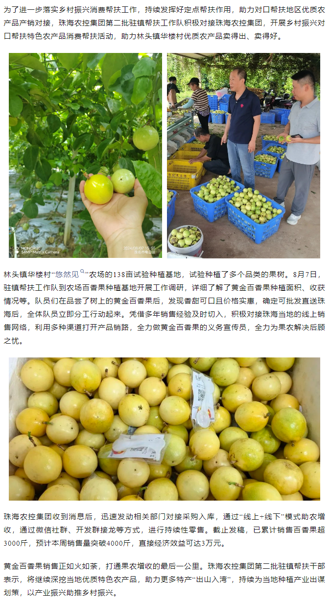 珠海中彩网极速注册集团助力产销对接 对口帮扶果香飘百里.png